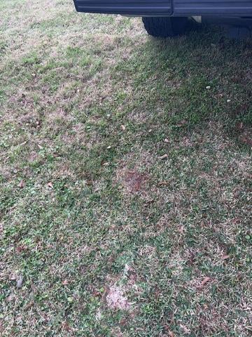 2012 Ford F-150 4WD SuperCrew 5-1/2 Ft Box XLT