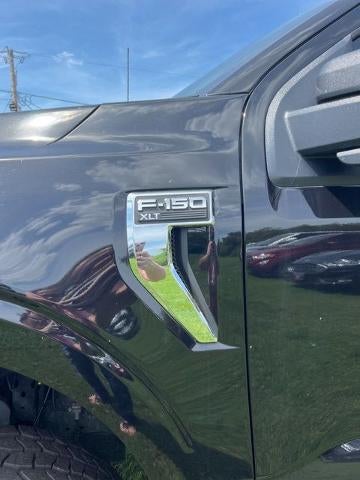 2023 Ford F-150 XLT 4WD Reg Cab 8' Box