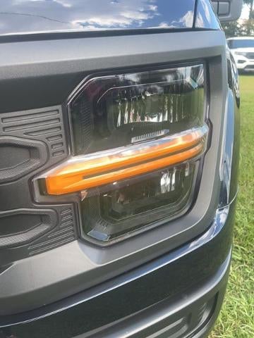 2025 Ford F-150 XL 2WD Reg Cab 8' Box