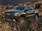 2021 Chevrolet Silverado 1500 Crew Cab Short Box 4-Wheel Drive LT Trail Boss